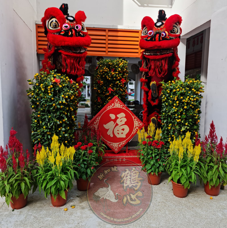 Lion Dance Costume & Chinese New Year Decoration Rental